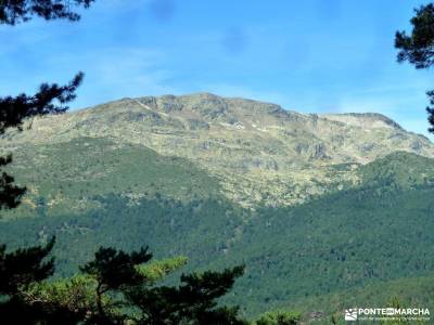 el bosque de irati rutas culturales madrid grupos de senderismo en valencia cerezos en flor jerte